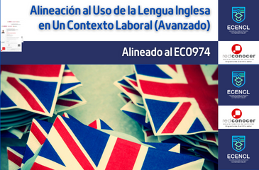 Alineación al Uso de la Lengua Inglesa en Un Contexto Laboral (Avanzado)
